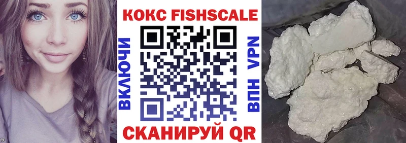 Cocaine Fish Scale купить наркотики цена Новодвинск