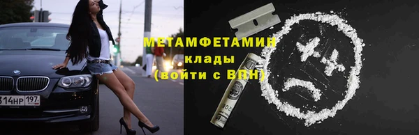 прущие грибы Дмитриев