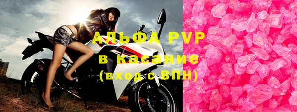 прущие грибы Дмитриев