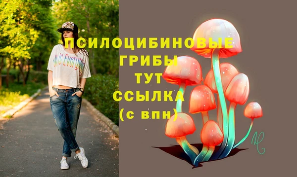 гашик Дмитровск