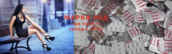 спиды Осинники