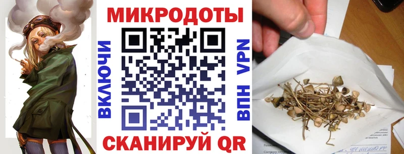 хочу   Новодвинск  Псилоцибиновые грибы прущие грибы 
